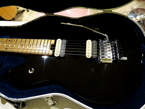 evhwolfgangspecial (32).jpg